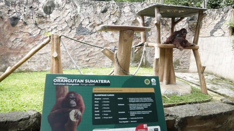 Pemkot Pastikan tak Buka Operasional Kebun Binatang Bandung Saat Libur Lebaran