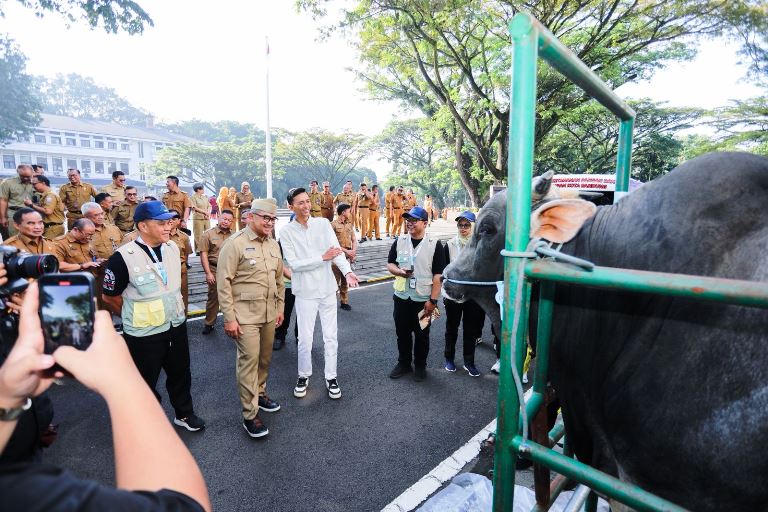 Pemkot Bandung Kerahkan 184 Petugas, Pastikan Hewan Kurban Sehat hingga Hari Tasyrik