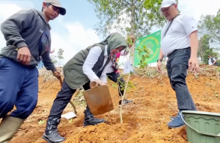 Penanaman Pohon Bersama Menteri LH, Ketua DPRD Hj Renie Ajak Cintai Lingkungan Jaga Alam Jaga Bumi