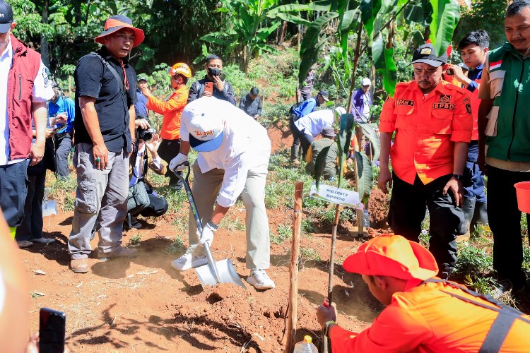 Hadapi Ancaman Krisis Air dan Bencana Hidrometeorologi, Pemkot Percepat Penghijauan Lewat Program Rindu Rindang