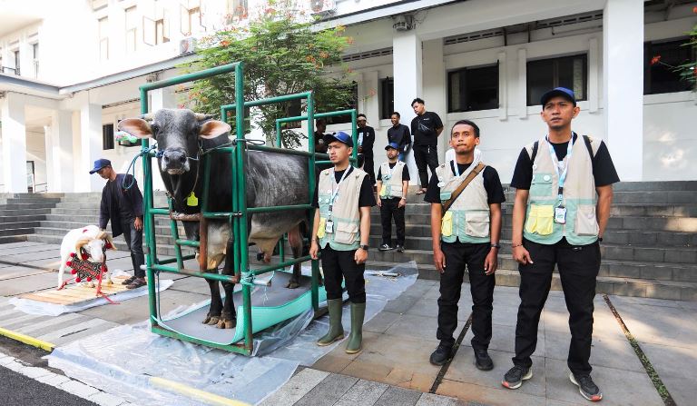 Pengawasan Diperketat 24 Jam, Hewan Kurban di Kota Bandung Sehat