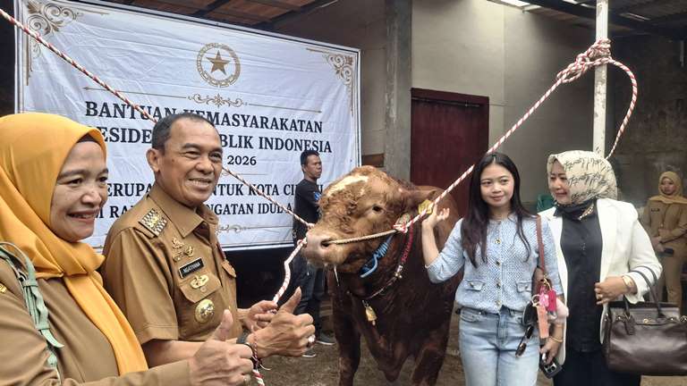 Ngatiyana Mengecek Sapi  Kurban Bantuan Presiden Prabowo